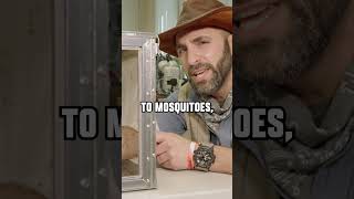 1000 MOSQUITOES vs Hand!