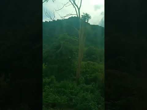 Green beauty ❤️ #music #song #nature #travel #happy #greenbeauty #tiyasha