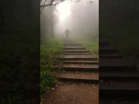 #srilanka #adamspeak #alone #❤️#love #buddhist #place #hike #joyful #adventure#shorts #video#viral