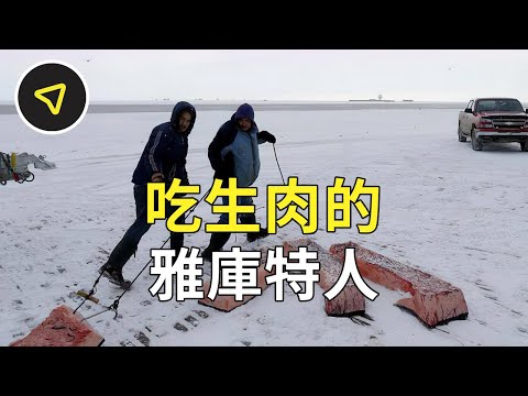雅庫特人生活在零下50度的地方，常年只吃生肉，真的不會得病嗎？