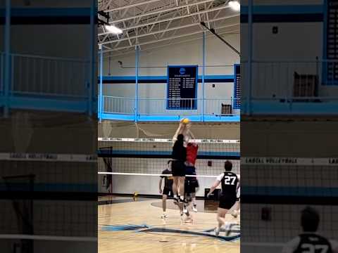 Embrace the Chaos! #volleyball #highlights #haikyu #fyp #mensvolleyball #groove #voleibol #bounce