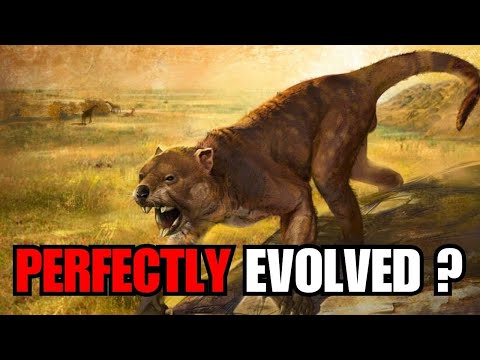 The Forgotten Apex Predator Of Australia