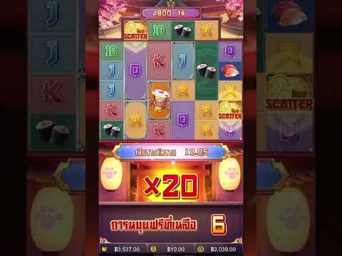 สล็อตเว็บตรงวอเลท ล็อตpgวอเลท วอเลทสล็อต สล็อตวอเลท สล็อตวัวทอง
