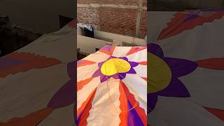 kite flying 15 august(basant)#kiteflying#kitelover#makarsankranti#15august#shorts#trending#2025