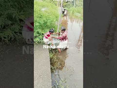 കുട്ടികളെ അവരുടെ ennannan... കൊണ്ടു പോയി
