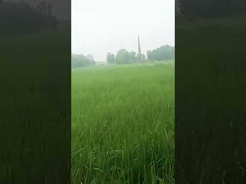 #bhojpuri #song #dance #hamarbalamuadjbajave #music