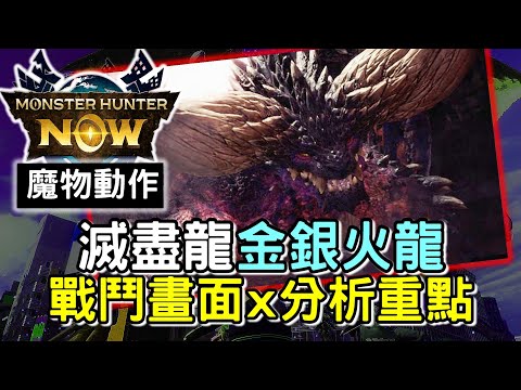 【MHN】LETS GO 一齊看戰鬥畫面🎬 金銀火龍+滅盡龍  分析對戰重點 | 感謝澳門獵友提供畫面 #MonsterhunterNOW #WILLWILL