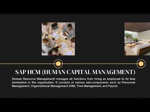 What is SAP (Systems Applications Products)?Basic Information About SAP