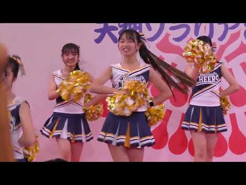 チアダンス天神ソラリア演舞台博多どんたく2024 Cheer dance