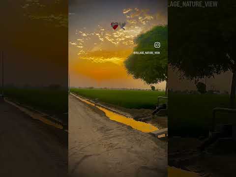 #nature #viral #shots #viralshorts #wmk