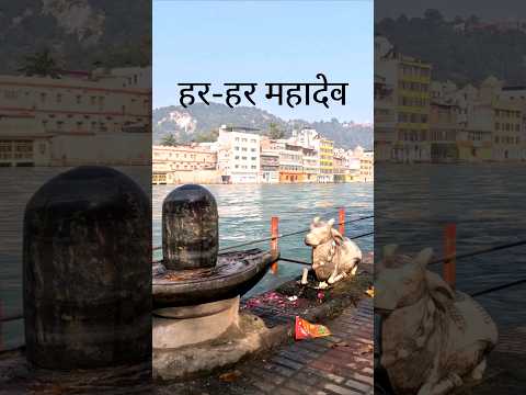 🕉 नमः पार्वती पतये, हर-हर महादेव 🔱| #youtubeshorts #reels #harharmahadev #bholenath #shiv #haridwar