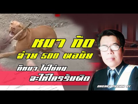 หมากัดคนแบบนี้ จ่าย500 จบมัย