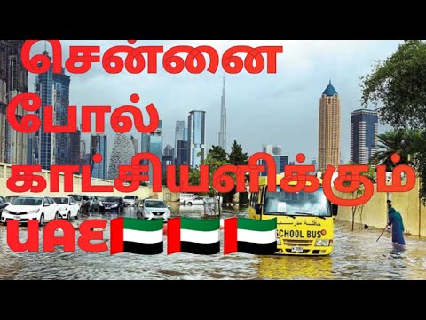 Rain in UAE🇦🇪 #tamil #dubailife #trending #trend #rain #tamilyoutuber #world #traffic #uae #travel
