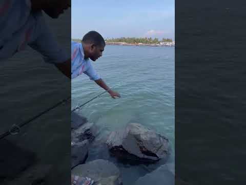 ഇതൊന്നു ശ്രദ്ധിച്ചാൽ നന്നാവും 🎣 #viral #youtubeshorts #trending #fishing #chellanam