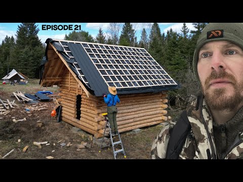 Log Cabin Build on Off-Grid Homestead |EP21|