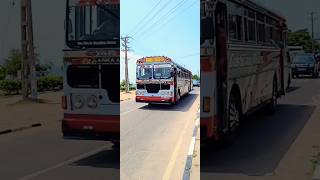 එයා ❤️💯🚍🇱🇰 #new #automobile #vahicles #trending #busdj #musicgenre #driver #bus #love #car