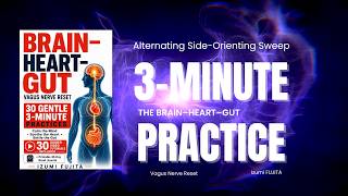 Exercise 8: 3-Minute Vagus Nerve Reset for Trapped Attention | Alternating Side-Orienting Sweep