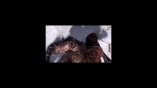 GOD OF WAR 4 PERAK GAMEING VIDEO #godofwar#tamalgaming #tamilcomedy
