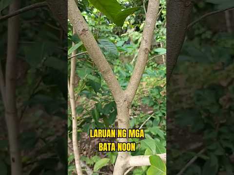 Laruan ng mga bata noon #laruan #tirador #funny #comedy #shorts