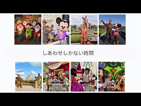 ウォルトディズニーの仮装でディズニーパークに遊びに行ったら幸せだった
