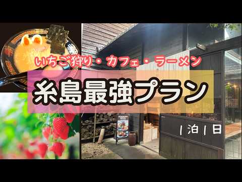 【最新春旅】１泊２日の糸島旅　トトロの森/二見ヶ浦/夫婦岩/カフェ　　#糸島 #福岡