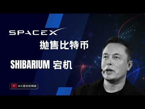 暴跌原因：马斯克Spacex抛售3.7亿比特币！柴犬币Shibarium上线即宕机？