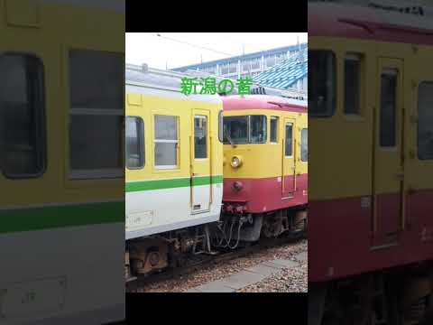 #はこんでくー#いきのこりぼくら#115系 #鉄道 #e129系 #今と昔