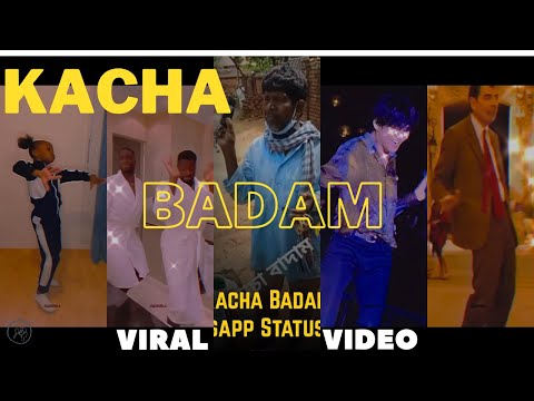 Kacha Badam song | Official meme video | Funny meme video | Viral reel video #bts #youtubeshots