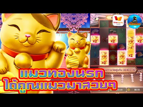 #เว็บตรง #สล็อตเว็บตรง #เว็บตรงไม่ผ่านเอเย่นต์ :แมวทองนรก ได้คูณแมวมาสวยๆ!!