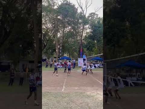 Assam police Volleyball winner team 🔥 #volleyball #assampolice #gameplay #winner #trendingshorts