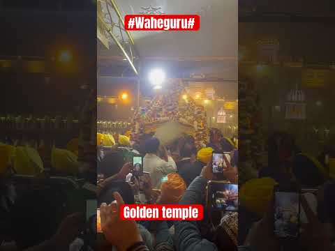 Waheguru Palki #goldentemple #amritsar