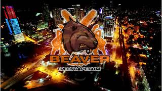 Beaver Treescape