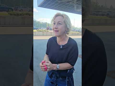 teorija o bolhah