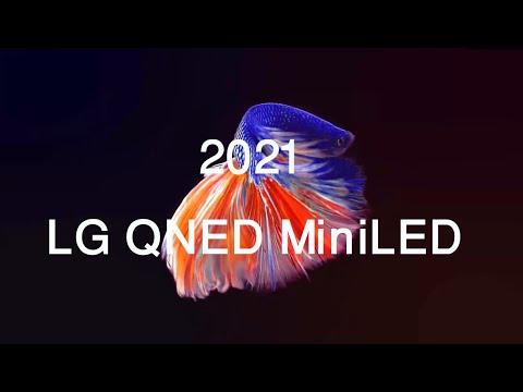 LG 4K 8K HDR Smart QNED MiniLED TV Demo Video