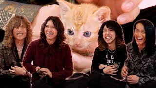 【子猫インタビュー】THE YELLOW MONKEYが子猫たちとインタビューに答えます！