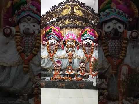 today is Darshan............ #music #love #song #harekrishna #highlights #2025 #suscribete #darshan