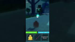 Pt 5 of hacker be like #bloxfruts #roblox #bloxfruithack