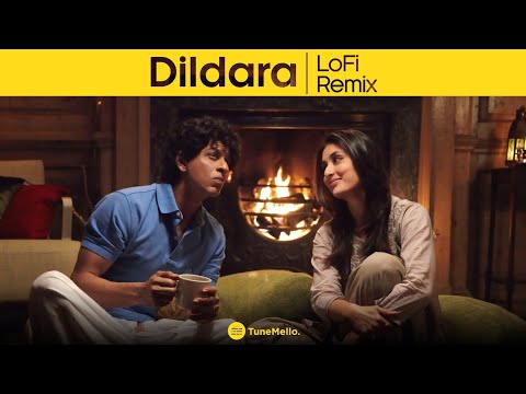Dildara - LoFi Remake (TuneMello.)