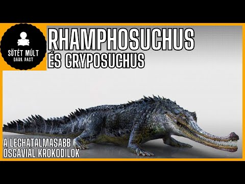 Rhamphosuchus és Gryposuchus őskrokodilok története magyarul