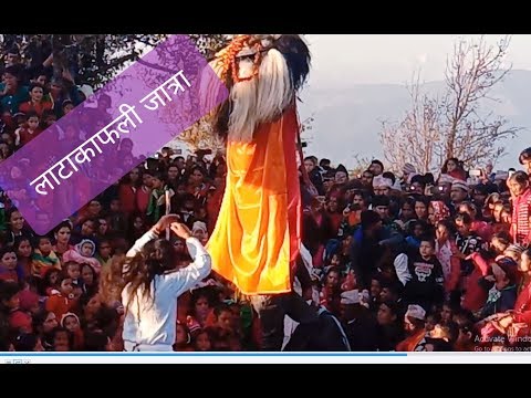 लाटा काफली जात्रा