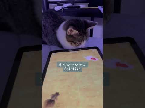 オペレーション Goldfish タブレット内の金魚を救出せよ