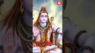 Falgun Month 2024: फाल्गुन माह में क्या करे क्या न करे? | Mahashivratri 2024 Date #Viralshorts #top