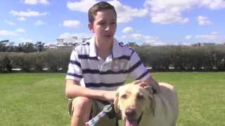 Revolutionary Dog App