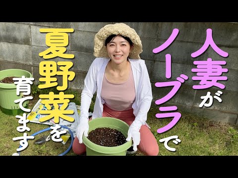 【ノーブラ】人妻が野菜の種まきをしていたら...