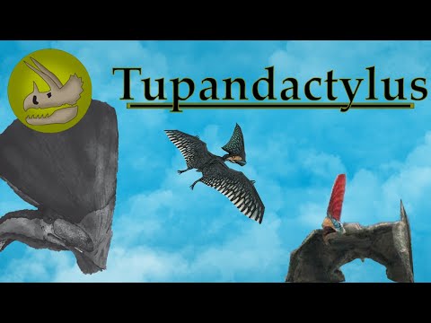 Tupandactylus | The Thunder Sail Pterosaur | Dino Basics