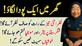Japanese Dadi's 200 Totke In Urdu | Rumi Quotes In Urdu | Wisdom of the Words | Golden Words In Urdu