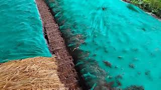 Vermicompost bed update video|11/09/2023
