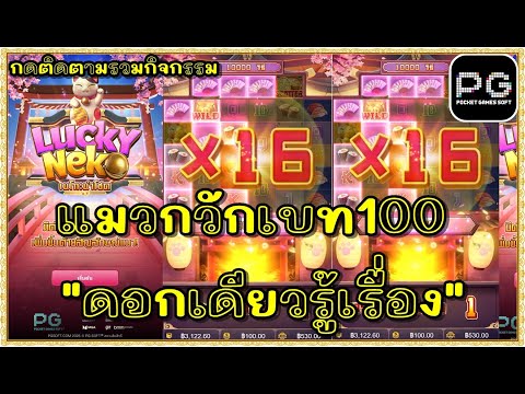 สล็อตpg สล็อตแตก ทุน1000 | แมว พีจี lucky neko pg | !!แมวกวักเบท100 "รู้เรื่อง"