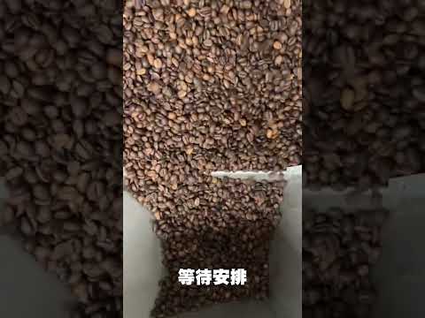 【天鈾包裝機械】-快來看看咖啡豆爬樓梯 #shorts #連續式封口機 #快速封口機 #封口機