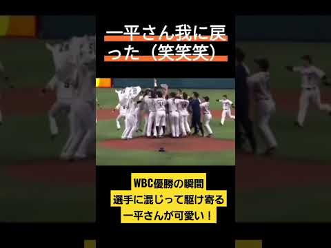 WBC優勝の瞬間選手に混じって駆け寄る一平さんが可愛い！
